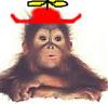 ZeMonkey