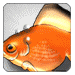 Nan