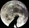 Moondog-K