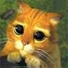 *::..Ralu..::*
