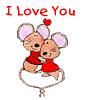 beautiful_rose