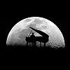 MoonLight