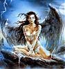 Angelicashell