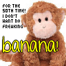 MrMonkey