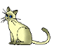 Miezelina