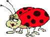 Sparkino1