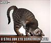mysunderstood8