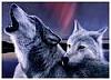 icewolf1982