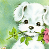 cae_prince