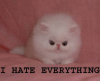 -NOT-EMO-