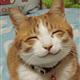 kittycat1st