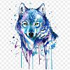 graywolf