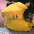 soxpm