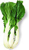 BokChoy