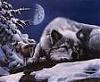 Werewolf
