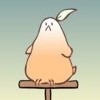 quail
