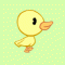 duckiegrlx3