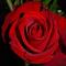 truely_sweet03