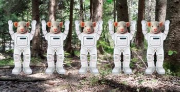 Les Adventures Blin