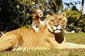 Click image for larger version

Name:	Liger 5.jpg
Views:	485
Size:	45.3 KB
ID:	1681838