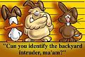 Click image for larger version

Name:	lineup.jpg
Views:	231
Size:	18.5 KB
ID:	1681920
