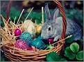 Click image for larger version

Name:	bunbasket.jpg
Views:	492
Size:	15.3 KB
ID:	1681923