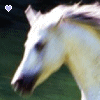 Click image for larger version

Name:	avatarhell_yellowcardxx_heart.gif
Views:	430
Size:	8.7 KB
ID:	1682139