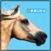 Click image for larger version

Name:	beauty.gif
Views:	456
Size:	8.0 KB
ID:	1682140