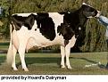 Click image for larger version

Name:	holstein.jpg
Views:	333
Size:	12.6 KB
ID:	1682190