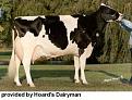 Click image for larger version

Name:	holstein.jpg
Views:	388
Size:	12.6 KB
ID:	1682190