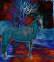 Click image for larger version

Name:	Horse3.jpg
Views:	528
Size:	133.2 KB
ID:	1682361