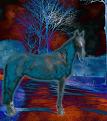 Click image for larger version

Name:	Horse3.jpg
Views:	494
Size:	133.2 KB
ID:	1682361