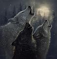 Click image for larger version

Name:	howlingwolftrio.jpg
Views:	288
Size:	30.5 KB
ID:	1682530