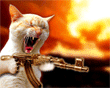 Click image for larger version

Name:	ngbbs44fc63c13b743.gif
Views:	239
Size:	24.3 KB
ID:	1682544