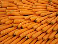 Click image for larger version

Name:	carrots.jpg
Views:	302
Size:	88.0 KB
ID:	1682591