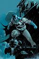 Click image for larger version

Name:	the-25-greatest-batman-graphic-novels-20050616111013512.jpg
Views:	312
Size:	70.7 KB
ID:	1682626