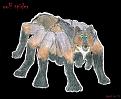 Click image for larger version

Name:	wolf-spider.jpg
Views:	119
Size:	49.2 KB
ID:	1682871