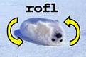 Click image for larger version

Name:	ROFL.jpg
Views:	225
Size:	3.3 KB
ID:	1682888