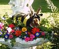 Click image for larger version

Name:	180px-Henrybumble-smith1.jpg
Views:	259
Size:	22.5 KB
ID:	1682998