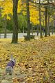 Click image for larger version

Name:	heaven_at_air_flickr_2.jpg
Views:	221
Size:	119.7 KB
ID:	1683233