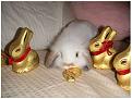 Click image for larger version

Name:	mvo_168_flickr.jpg
Views:	215
Size:	158.5 KB
ID:	1683238