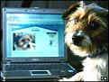 Click image for larger version

Name:	_40972606_dodger_pa_203b.jpg
Views:	213
Size:	14.3 KB
ID:	1683284