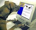 Click image for larger version

Name:	dog-computer-750469.jpg
Views:	210
Size:	28.8 KB
ID:	1683285