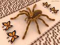 Click image for larger version

Name:	SpiderKing.jpg
Views:	214
Size:	76.0 KB
ID:	1683306