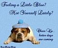Click image for larger version

Name:	cheer.JPG
Views:	236
Size:	29.9 KB
ID:	1683328