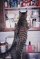 Click image for larger version

Name:	search.jpg
Views:	188
Size:	10.1 KB
ID:	1683342