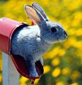 Click image for larger version

Name:	mail.jpg
Views:	196
Size:	19.3 KB
ID:	1683357