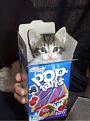 Click image for larger version

Name:	kitty_pop_tarts.jpg
Views:	196
Size:	10.6 KB
ID:	1683360