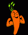 Click image for larger version

Name:	carrot.gif
Views:	252
Size:	12.4 KB
ID:	1683364