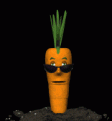 Click image for larger version

Name:	carrot2.gif
Views:	236
Size:	15.7 KB
ID:	1683373